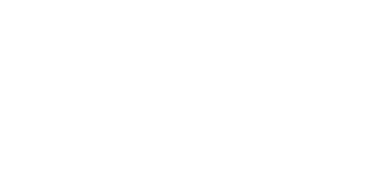 BRAHMI SOLUTION