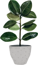 plant-img