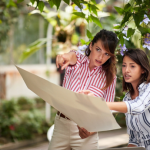 Why Hiring a Landscape Designer Is the Best Investment