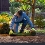 How Landscaping Services Can Instantly Boost Your Home’s Value